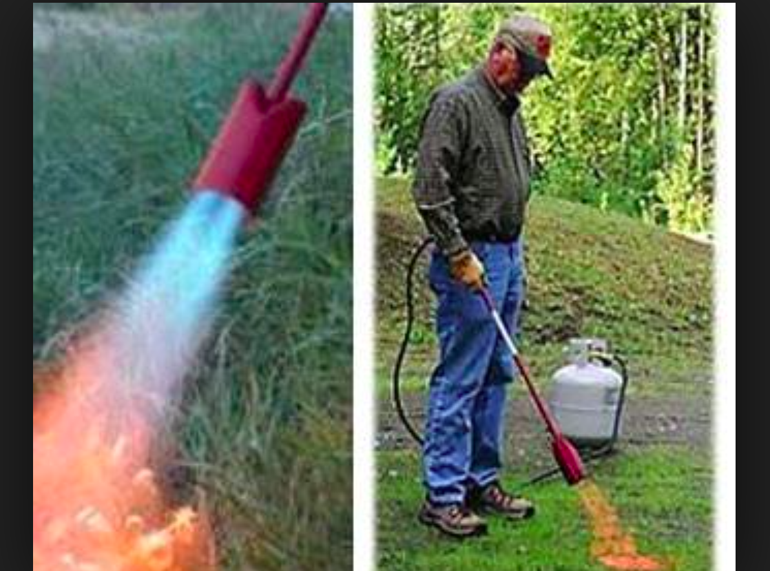 CONSTRUCTION LPG NG HOT MAX WEED BURNER TORCH KIT 100 000 BTU hr UL App