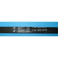Asko 562036 BELT POLY-V 7PH 1930 HUTCHINSON spare part