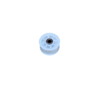 Fisher & Paykel Fisher and Paykel Tension Wheel H0180800243A | DH9060C1 DH9060P1 DH8060C1 DH8060P1 HDC80E1 spare part