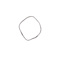 Fisher & Paykel Fisher and Paykel Wall Oven Gasket 542554 spare part