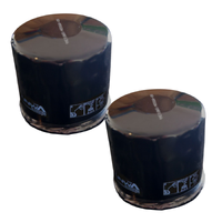 Sunwa QUALITY BRAND NEW | 2x Oil Filters fit Briggs & Stratton, Tecumseh Short Type AM12542 492932 492056 696854 spare part