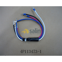 Daikin Genuine Wire Harness Assy W:2056566 for Daikin Part No 6022025 spare part