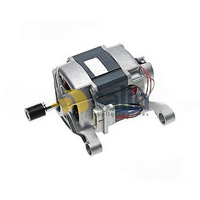 PN: 4141023825840 DS4038858 HOOVER WASHING MACHINE MOTOR TRI PHASE