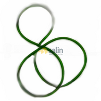 Fisher & Paykel GENUINE FISHER & PAYKEL DRYER BELT 270MM | M1560171 W0298403 spare part