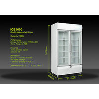 NEW IGLOO DOUBLE DOOR 1000L COMMERCIAL MILK GLASS DISPLAY FRIDGE 110*70*210CM