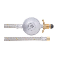 Companion 1/4 Gas Hose and Regulator 1.2m Long Stainless Steel