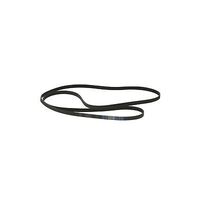 Bosch Bosch Avantixx EcoLogixx HomeProfessional Maxx 7 8 Sensitive Cndenser Dryer BELT spare part