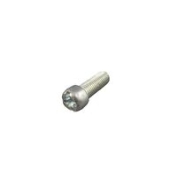 CATERING RESTAURANT SCREW FOR ROCHESTER JUNIOR GAUGE
