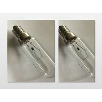Fisher & Paykel 2 x Kelvinator Fridge Lamp Light Bulb KTM3600WB KTM4400WB KTM5200MB KTM5200WB spare part