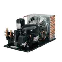 Embraco ASPERA Embraco Condensing unit UNJ9238GK R404A MED TEMP 1-1/2HP spare part