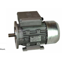 Universal CMG SINGLE PHASE MOTOR 1.1KW2P1PHB5 1.1kw, 2 Pole ( 2900 rpm ) 80 Frame spare part