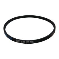 Genuine Belt Drive For Electrolux Spare Part No: 119345100