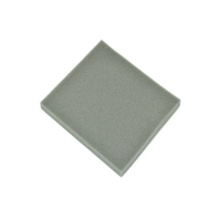 Electrolux Genuine Filter Foam U4020 For Electrolux UVE4120FL Spare Part No: G5330320004 spare part