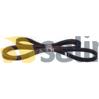 AEG V-RIBBED BELTS 1971PH7 AEG 1366033007 spare part
