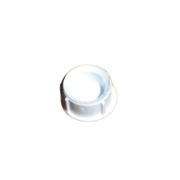 Fisher & Paykel Fridge/Freezer Screw Cap For Fisher & Paykel C270R (20657) Fridges and Freezers spare part