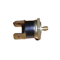 Dishwasher Cutout Thermostat For Damani Dishwashers
