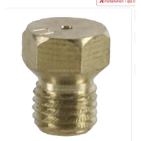 Fisher & Paykel Genuine Injector for Fisher & Paykel GC600W | PN: 530124 55 spare part