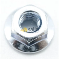 Miele Whirlpool Indesit 481250518391 nut for Miele spare part