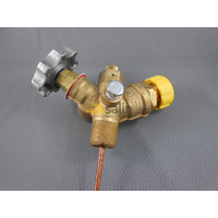 Universal ASME Rego Multivalve for Vapor Withdrawal for LPG CARAVAN SHOP RESTUARANT spare part