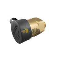 Universal Rego 250PSI Relief Valve with 3/4″ MNPT for LPG CARAVAN SHOP RESTUARANT spare part