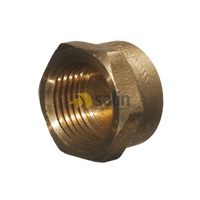 1/4″ FBSP Brass Cap for LPG CARAVAN SHOP RESTUARANT