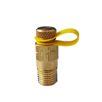 Universal Pete's High-Pressure Testing Plug 1/4″ MBSP for LPG CARAVAN SHOP RESTUARANT spare part