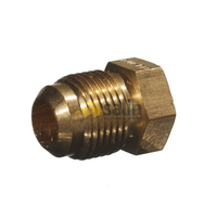 1/2″ SAE Male Flare Plug for LPG CARAVAN SHOP RESTUARANT