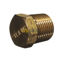 1/2″ MBSP Taper Plug for LPG CARAVAN SHOP RESTUARANT