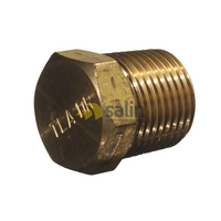1/4″ BSPT Male Solid Taper Plug for LPG CARAVAN SHOP RESTUARANT