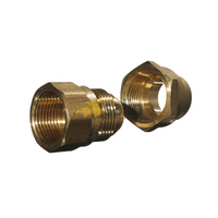 Universal Union 3/4″ MBSP Flare x 3/4″ FBSP Including Nut for LPG CARAVAN SHOP RESTUARANT spare part