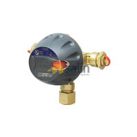 Universal Rego Auto Switch-Over Regulator Head Only for LPG CARAVAN SHOP RESTUARANT spare part