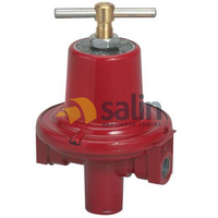 Universal Adjustable High Pressure Regulator 1/4″ 40-100 PSI for LPG CARAVAN SHOP RESTUARANT spare part