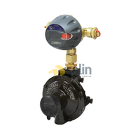 Universal REGO Auto Changeover Regulator with 250 MJ/h Output Capacity for LPG CARAVAN SHOP RESTUARANT spare part
