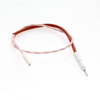 Ariston Ariston Indesit Oven Ignitor Fgi K Ix C00307857 spare part