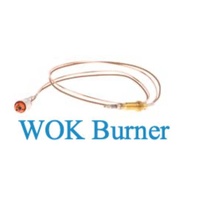 Bosch Bosch Thermocouple Wok Burner 3ET HGV spare part