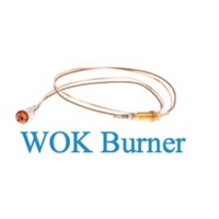 Bosch Bosch Thermocouple Wok Burner Pch Pcw Pcr EC9 spare part