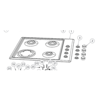 Fisher & Paykel Fisher Paykel Cooktop Top Plate Ss CG604CNGX2, CG604CLPX2 spare part