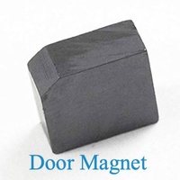 Samsung Samsung Washing Machine Top Loader Lid Or Door Magnet spare part