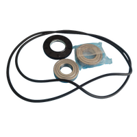 Samsung SAMSUNG WASHING MACHINE WF16J6500EV/EU DRUM BEARINGS & SEALS KIT 6306/7 156A spare part