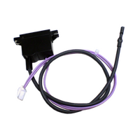 Genuine Ignitor Wire For Kelvinator KGC26SLA Spare Part No: EC02G