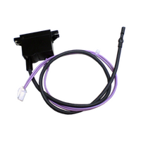 Kelvinator Genuine Ignitor Wire For Kelvinator 956000817 Spare Part No: EC02G spare part