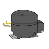 Kelvinator Genuine Compressor For Kelvinator 956001641 Spare Part No: LA010320801 spare part