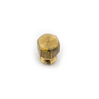 Blanco PN: 050299003207R GAS JET 065MM BLANCO OVEN/STOVE | BCGG6WX 2623192 spare part