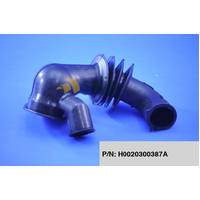 Fisher & Paykel Genuine Hose Tub Pump for Fisher & Paykel Washing Machines P/N H0020300387A spare part