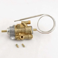 Blue Seal 228705 - PINTOSSI GAS CONTROL KIT | Blue Seal spare part