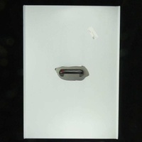 Blue Seal SA1658 - LID SUB GT45 GT46 | Blue Seal spare part