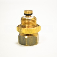 Rancilio 10060051 - ANTIVACUUM VALVE WITH WEIGHT | Rancilio spare part
