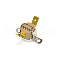 Rancilio 34200295 - THERMOSTAT 140 SILVIA | Rancilio spare part