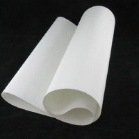 Rondo 121344T30 - SYNTHETIC CONVEYOR BELT 475 x 1470mm | Rondo spare part