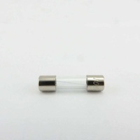 Turbofan R65200200 - FUSE 2 Amp | Turbofan spare part